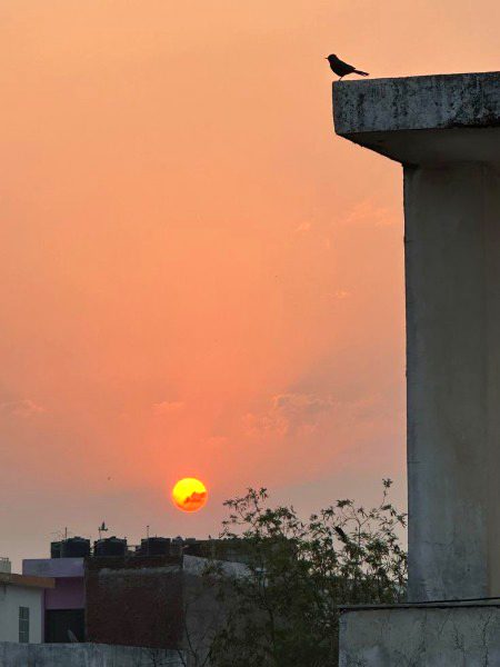 Beautiful Nature image