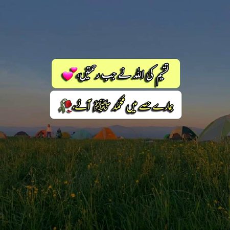 Islamic Quotes image