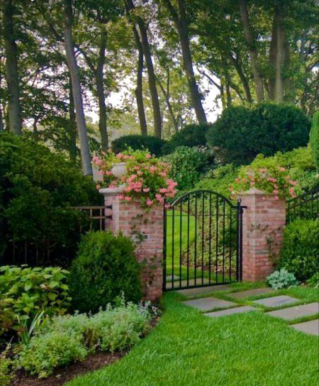 Beautiful Nature image