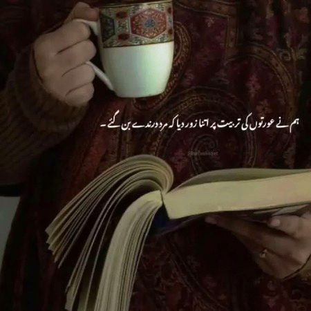 Memes & Satire image