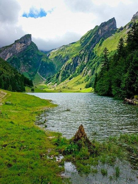 Beautiful Nature image