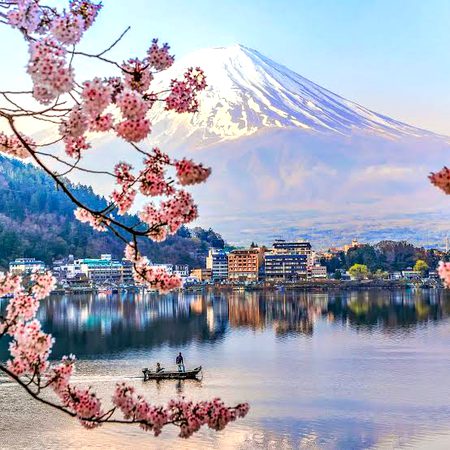 Beautiful Nature image