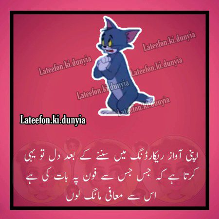 Memes & Satire image