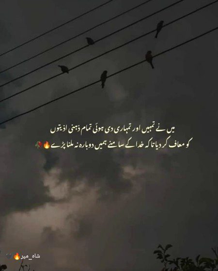 "شاہ_میر"🔥🖤