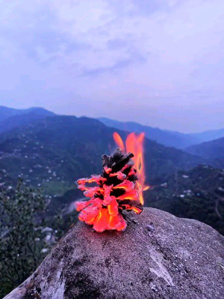 راہ دیکھیں گے تیری چاہے زمانے لگ جائیں_🙂💔🥀
#same