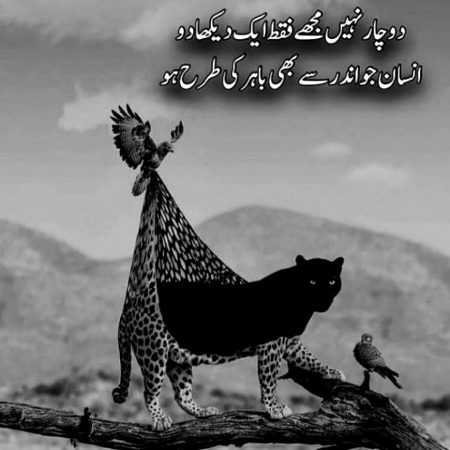 Attitude Poetry image