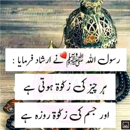 Islamic Quotes image