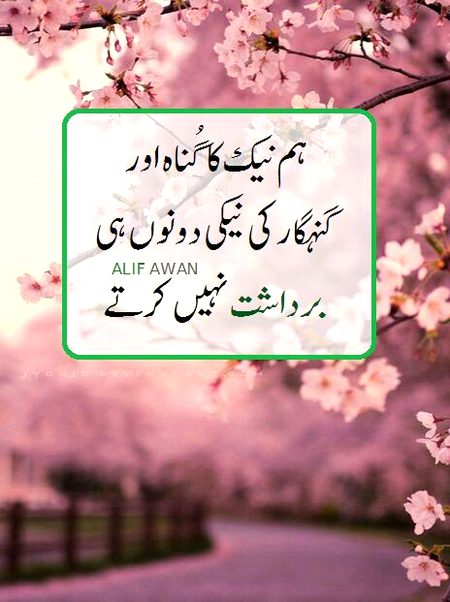 Motivational Quotes image