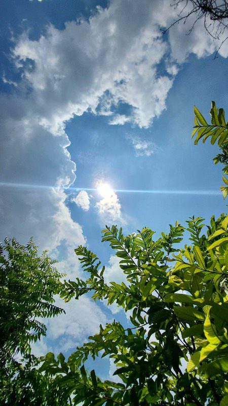 Beautiful Nature image