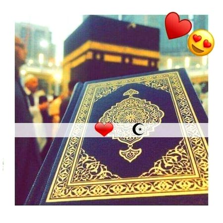 ▪️فرمانِ رسول پاک محمدؐ
یا علی کدو کا کھانا لازم سمجھو کیونکہ وہ دماغ و عقل میں اضافے کا موجب ہے۔