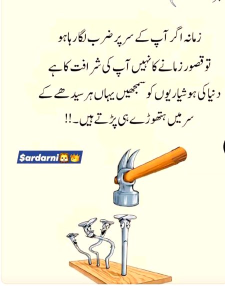 🤍🤍🤍🤍🫶🤍🤍🤍🤍