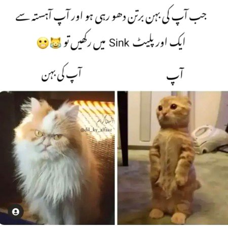 Memes & Satire image