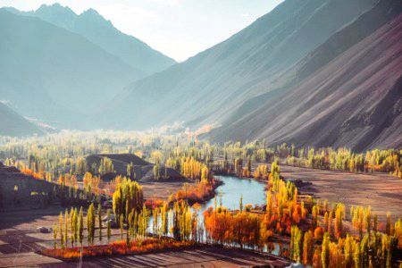 Beautiful Nature image