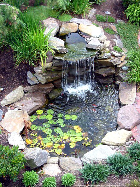 Beautiful Nature image