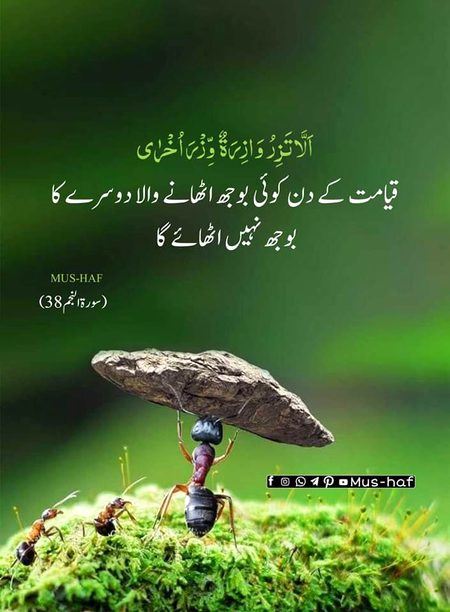 Islamic Quotes image