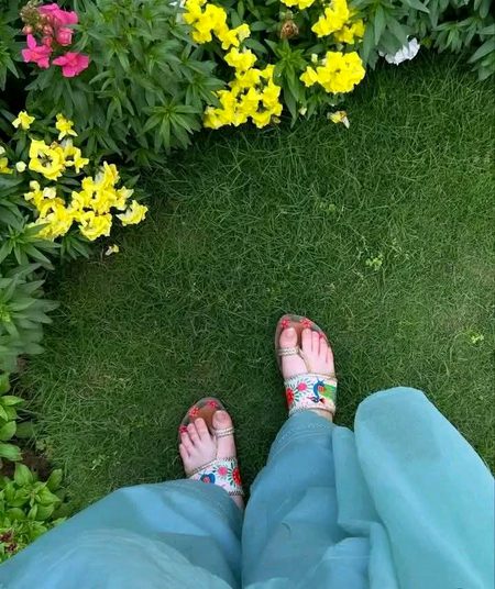 Beautiful Nature image