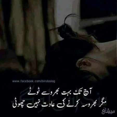 Allah pak ap sb ko hmesha khush rakhy🍀Dua0n m yad rakhiye ga🍀Allah hafiz🍀
