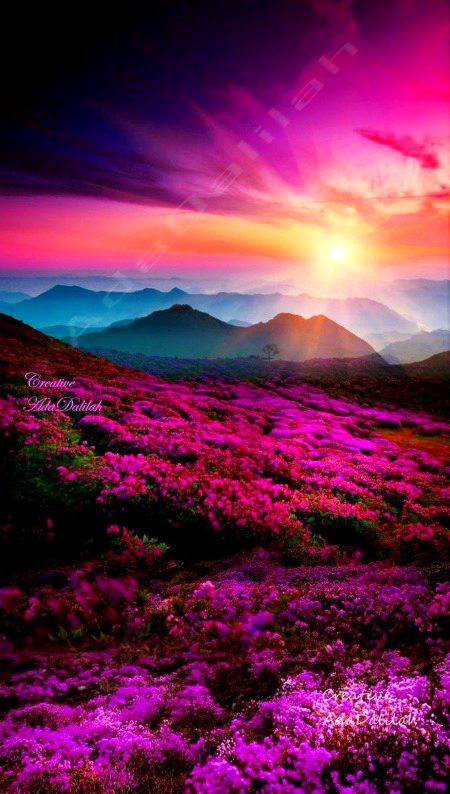 Beautiful Nature image