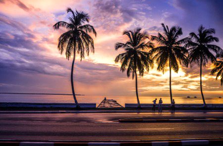 Sunset Palm trees 🥀