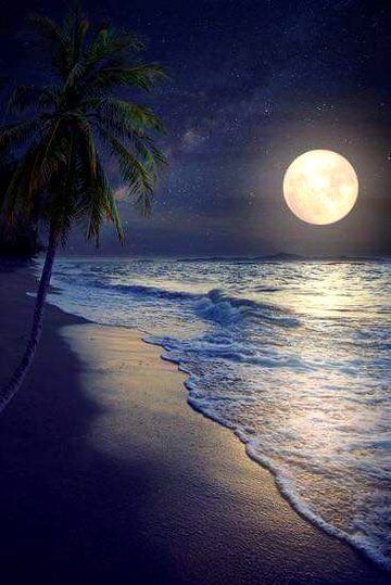 Beautiful Nature image