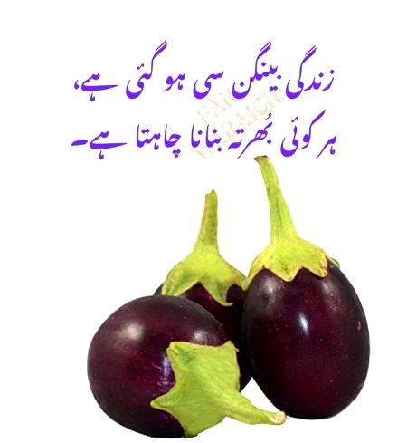 Memes & Satire image