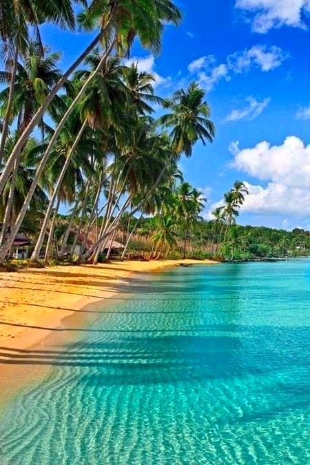 Beautiful Nature image