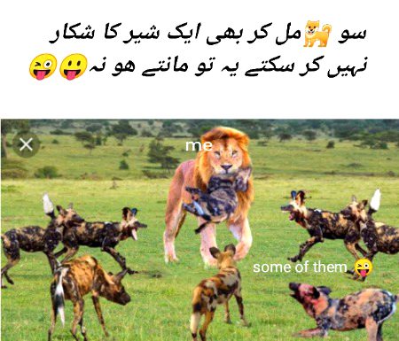 Damadam Roasting image