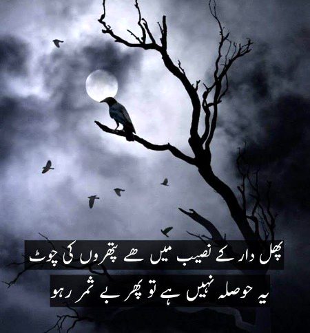 پھر کیا ہے؟