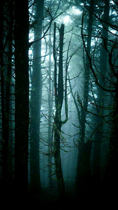 Beautiful Nature image