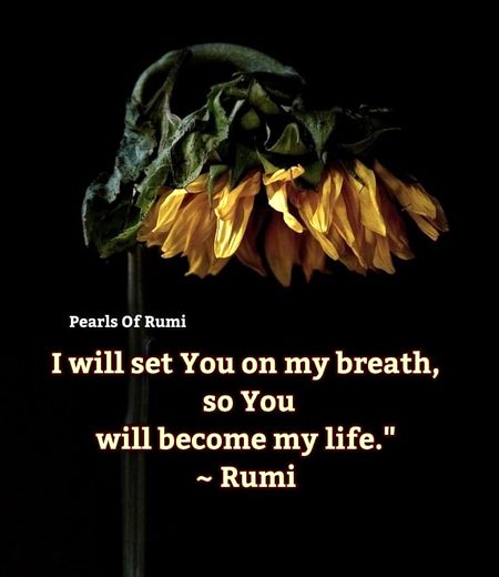 Romantic Poetry image