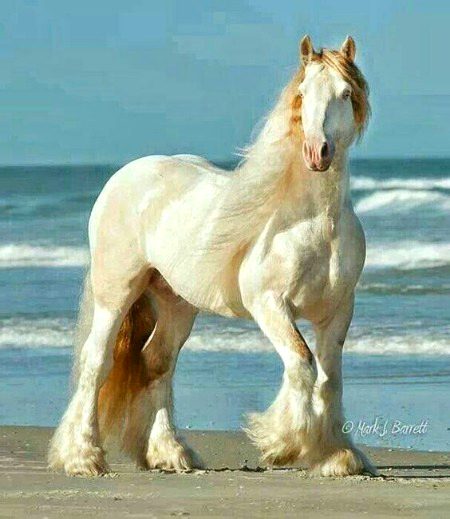 Beautiful Nature image