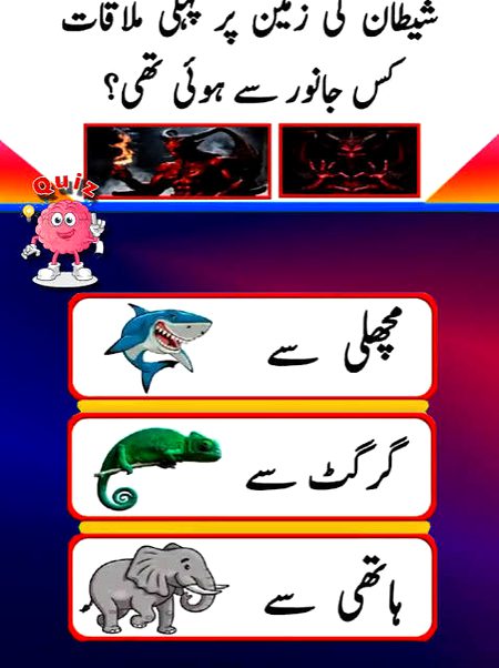 Knowledge Test image