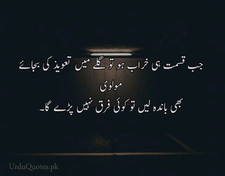🍁Zoq_Shab🍁