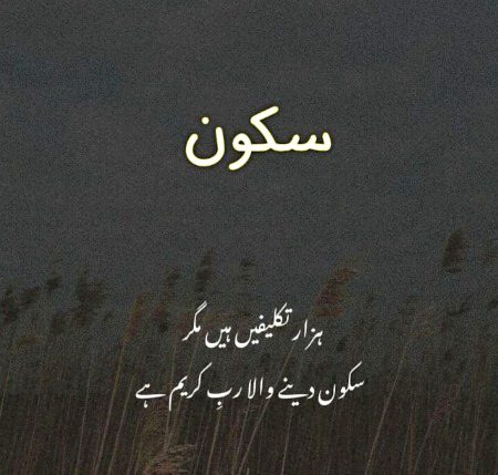 ✨💞💫_✨+💞.🦋