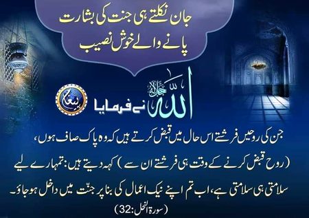 Khush naseeb.  ,☝️☝️☝️☝️🍯