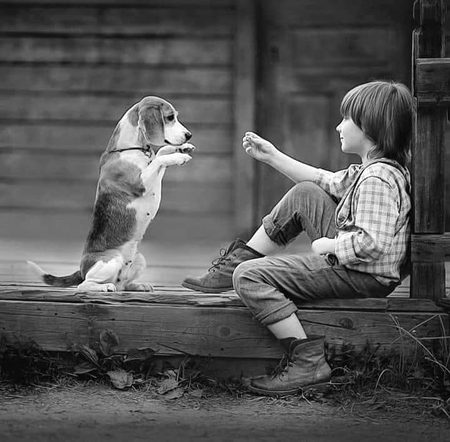 Beautiful People image