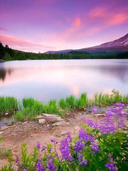 Beautiful Nature image