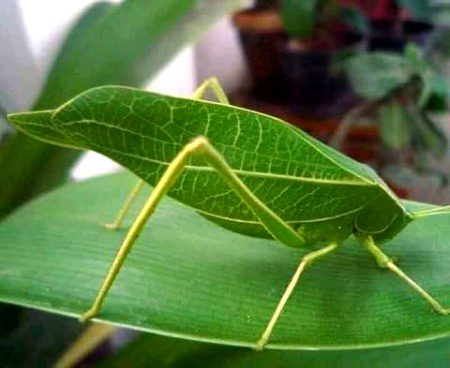 Beautiful Nature image