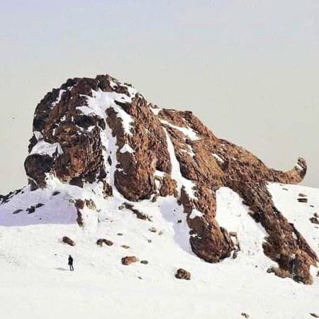 Beautiful Nature image