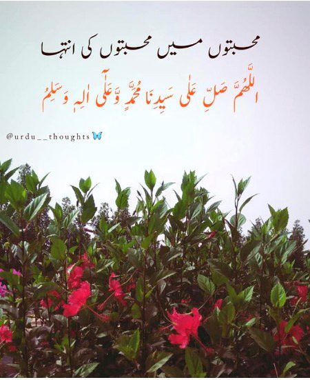 Islamic Quotes image