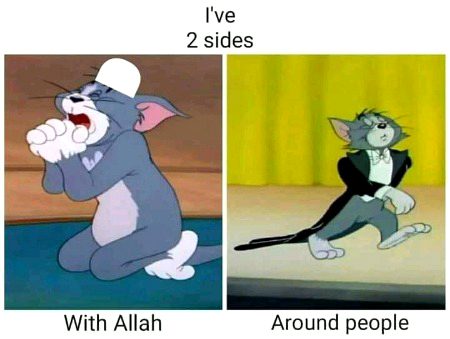 Memes & Satire image