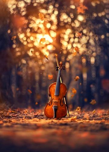 Beautiful Nature image