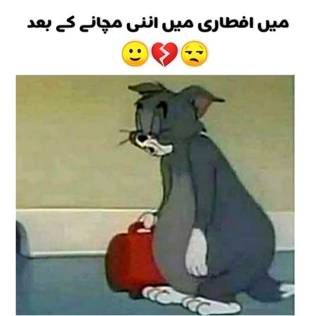 Memes & Satire image