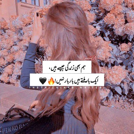 Attitude Quotes image