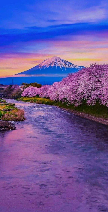 Beautiful Nature image