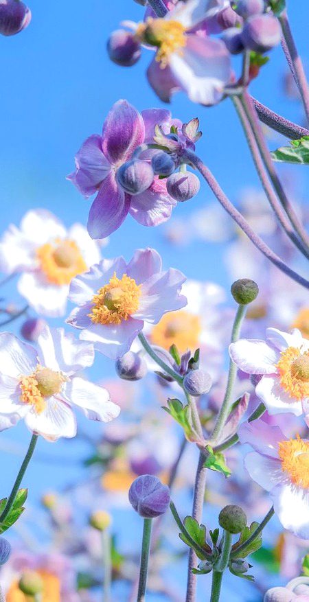 Beautiful Nature image