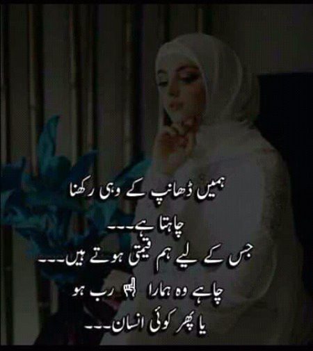 🌹🍀🌷🌹🍀🌷🌹🍀🌷🌹🍀