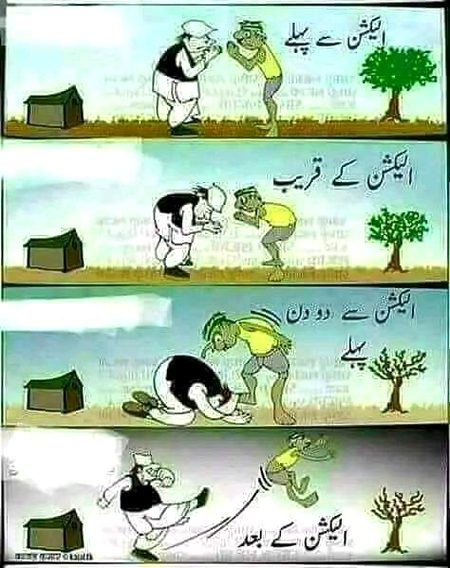 Memes & Satire image