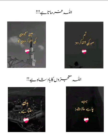 Islamic Quotes image