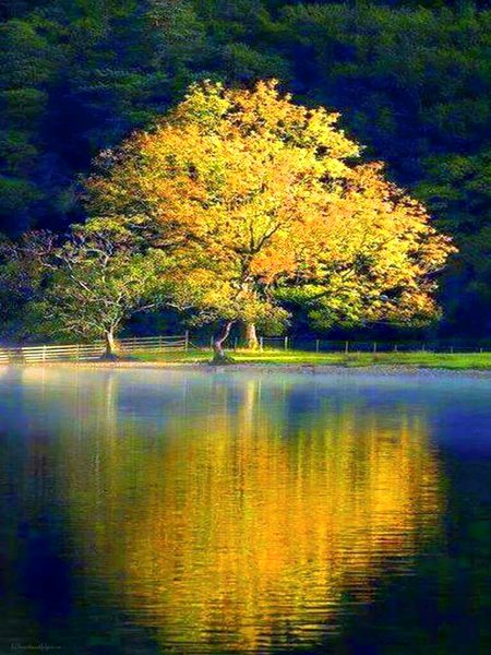 Beautiful Nature image